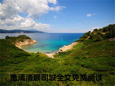 （免费）+（全文）萧清清顾司城（与你长青到地荒）免费阅读最新章节无弹窗与你长青到地荒完整版小说在线阅读