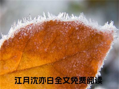 他悄悄爱你（江月沈亦白）全文免费阅读大结局_他悄悄爱你（江月沈亦白）免费在线阅读无删减_笔趣阁