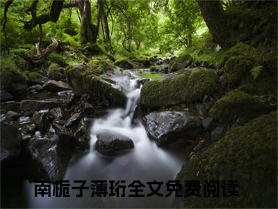 南栀子薄珩（南栀子薄珩）全文免费阅读无弹窗_南栀子薄珩小说在线阅读_笔趣阁