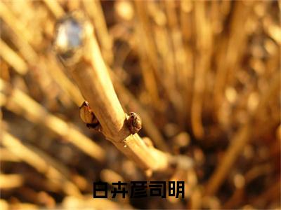 白卉彦司明(白卉彦司明小说)最新在线阅读_白卉彦司明小说免费阅读