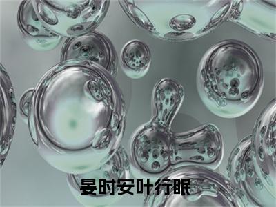 全章节完整《晏时安叶行眠》全文阅读《晏时安叶行眠》