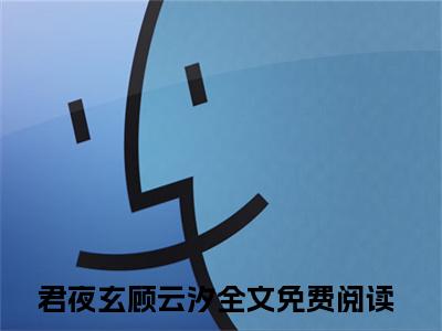 相思入骨：谁人不识君在线阅读（君夜玄顾云汐）全文免费阅读无弹窗大结局