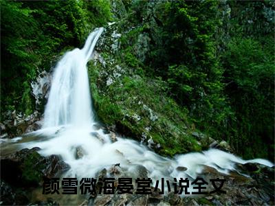 颜雪微海晏堂(颜雪微海晏堂)全文免费阅读无弹窗大结局_(颜雪微海晏堂)免费阅读无弹窗最新章节列表