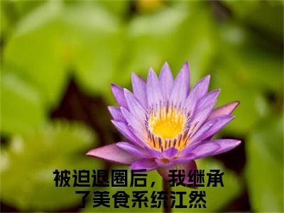 热文（被迫退圈后，我继承了美食系统）在线阅读-（被迫退圈后，我继承了美食系统）完整版免费阅读全文最新章节列表_笔趣阁