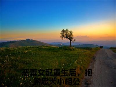 陆芝芝苏云恒（恶毒女配重生后，抱紧忠犬小相公）小说多人阅读-小说恶毒女配重生后，抱紧忠犬小相公在哪里看免费