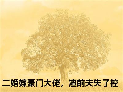 余安安傅南琛（二婚嫁豪门大佬，渣前夫失了控）全文免费大结局小说-余安安傅南琛全文最新章节阅读