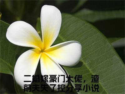 二婚嫁豪门大佬，渣前夫失了控（余安安傅南琛）全文小说-二婚嫁豪门大佬，渣前夫失了控小说最新章节免费阅读