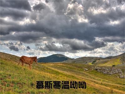 慕斯寒温呦呦全网首发完整小说主角慕斯寒温呦呦在线阅读