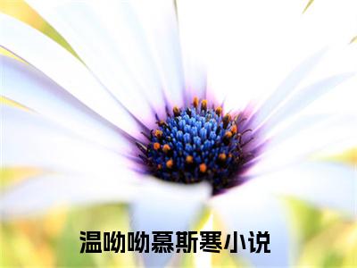 (番外)+(全文)温呦呦慕斯寒全文小说免费下载阅读温呦呦慕斯寒全文小说最新章节列表_笔趣阁（温呦呦慕斯寒全文）