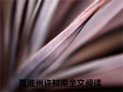 覃淮州许知南（覃淮州许知南）全文免费阅读无弹窗大结局_覃淮州许知南最新章节列表（覃淮州许知南）