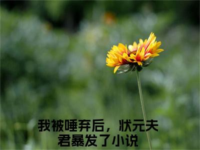 我被唾弃后，状元夫君暴发了全文（苏鱼）抖音热推小说全集无删减_苏鱼免费最新章节列表_笔趣阁