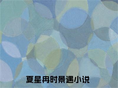 火速退婚：她被前任小舅全球通缉（夏星冉时景遇）全文免费阅读无弹窗大结局_夏星冉时景遇全文在线阅读