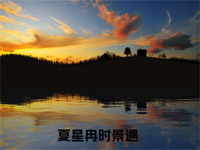 夏星冉时景遇（火速退婚：她被前任小舅全球通缉）全文免费阅读无弹窗大结局_夏星冉时景遇在线阅读笔趣阁（火速退婚：她被前任小舅全球通缉）