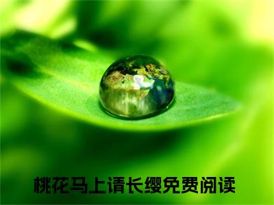 桃花马上请长缨（宋惜惜战北望）全文完整版免费阅读_桃花马上请长缨最新章节列表_笔趣阁（宋惜惜战北望）