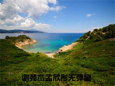 谢苑杰孟欣彤（谢苑杰孟欣彤）全文免费阅读无弹窗大结局_谢苑杰孟欣彤最新章节列表_笔趣阁（谢苑杰孟欣彤）