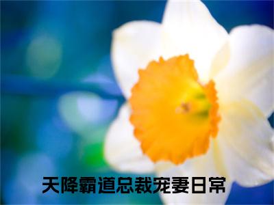 （天降霸道总裁宠妻日常）全文免费阅读唐亦尘林心晴言情小说讲的是什么