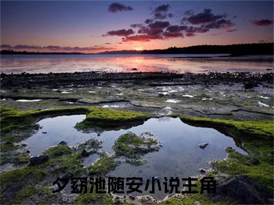 夕窈池随安（幽幽岁晏）小说全文免费阅读无弹窗大结局_夕窈池随安全文在线阅读无弹窗