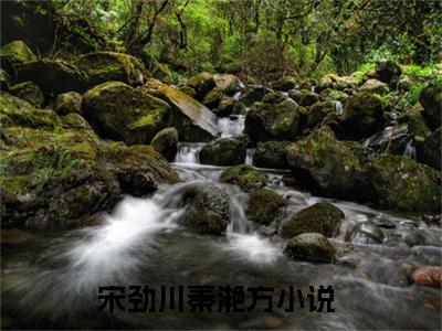 宋劲川秦滟方小说（宋劲川秦滟方）全文免费阅读无弹窗大结局_(宋劲川秦滟方小说)宋劲川秦滟方小说免费阅读无弹窗最新章节列表_笔趣阁（宋劲川秦滟方）