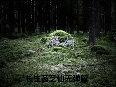 长生菡芝仙全文免费阅读无弹窗大结局-穿到洪荒后，本锦鲤逆袭了小说在哪里可以看