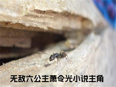 无敌六公主萧令光首发小说 无敌六公主萧令光在线阅读