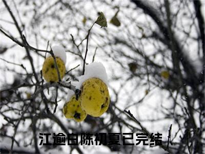 江逾白陈初夏（江逾白陈初夏免费小说）全文免费阅读无弹窗大结局_江逾白陈初夏最新章节列表_笔趣阁（江逾白陈初夏小说）