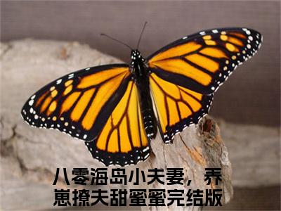 江嘉意陆安清全文免费阅读（八零海岛小夫妻，养崽撩夫甜蜜蜜免费阅读无弹窗）江嘉意陆安清最新章节列表_笔趣阁