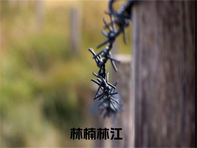 小说重生年代娇妻有系统免费阅读-（林楠林江）全文无弹窗阅读