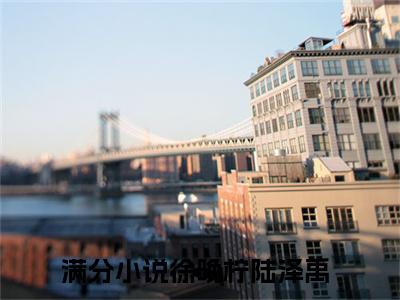 徐晚柠陆泽禹免费阅读无弹窗（徐晚柠陆泽禹）全文免费阅读无弹窗大结局_(徐晚柠陆泽禹)徐晚柠陆泽禹最新章节列表_笔趣阁（徐晚柠陆泽禹）