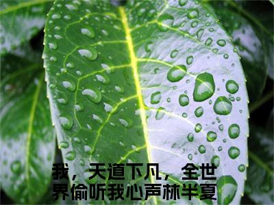 私藏读物我，天道下凡，全世界偷听我心声林半夏免费观看-抖音热门我，天道下凡，全世界偷听我心声林半夏(我，天道下凡，全世界偷听我心声林半夏)最新章节阅读