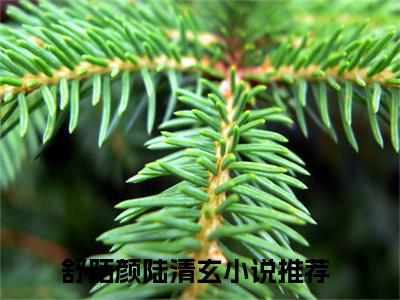 舒陌颜陆清玄（舒陌颜陆清玄）全文免费阅读无弹窗大结局_（舒陌颜陆清玄）舒陌颜陆清玄全文最新章节列表_笔趣阁（舒陌颜陆清玄）