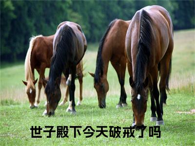 沈京墨楚清荷（世子殿下今天破戒了吗）小说全文免费阅读正版无弹窗，沈京墨楚清荷免费阅读