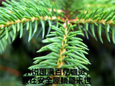 （苏柠周娇娇）小说全文免费阅读无弹窗大结局_囤满百亿物资，我在安全屋躺赢末世苏柠周娇娇最新章节列表笔趣阁