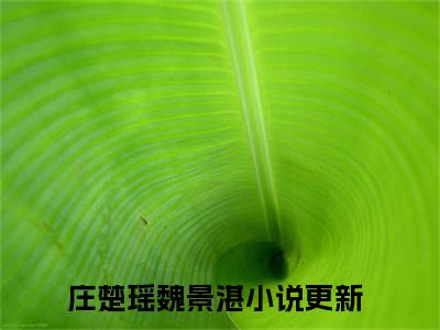 ﻿(番外)+(全文)庄楚瑶魏景湛下载阅读_(庄楚瑶魏景湛小说全文)庄楚瑶魏景湛最新章节列表_笔趣阁（庄楚瑶魏景湛小说全文）