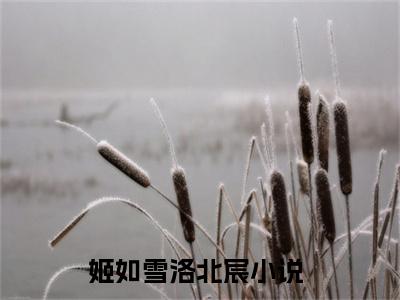 姬如雪洛北宸（姬如雪洛北宸全集无弹窗阅读）姬如雪洛北宸已完结小说全集完整版大结局笔趣阁（姬如雪洛北宸）最新章节列表_笔趣阁