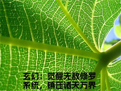 玄幻：觉醒无敌修罗系统，镇压诸天万界周剑小说 玄幻：觉醒无敌修罗系统，镇压诸天万界周剑免费章节阅读