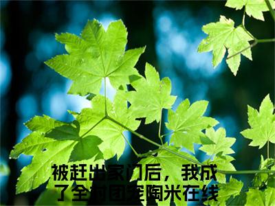 被赶出家门后，我成了全村团宠陶米（被赶出家门后，我成了全村团宠陶米）小说大结局全文免费阅读-被赶出家门后，我成了全村团宠陶米抖音小说