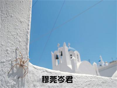 穆莞岑君(穆莞岑君小说)全文免费阅读无弹窗大结局-穆莞岑君小说最新章节列表_笔趣阁