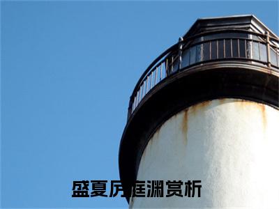 甜爆款小说盛夏厉庭渊-盛夏厉庭渊免费在线阅读