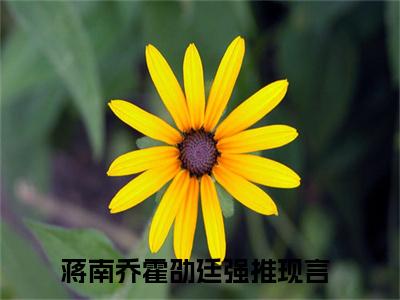 蒋南乔霍劭廷豪门小说全章节阅读-蒋南乔霍劭廷全文免费阅读