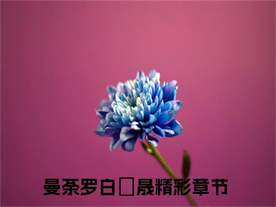 曼荼罗白璟晟(曼荼罗白璟晟)全文免费阅读无弹窗大结局_曼荼罗白璟晟