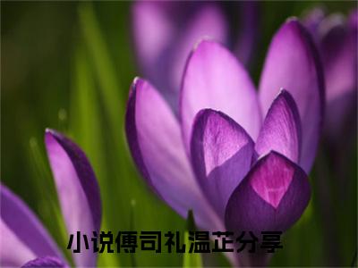 傅司礼温芷（傅司礼温芷）全文免费阅读无弹窗大结局_傅司礼温芷全文阅读最新章节列表_笔趣阁（傅司礼温芷）