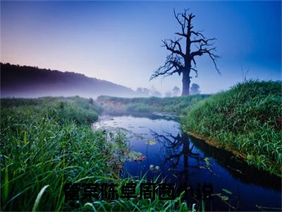 《管棠陈卓周茵》全文免费阅读最新章节大结局-管棠陈卓周茵无弹窗阅读