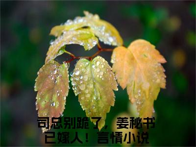 姜眠司煦精彩章节免费阅读_（司总别跪了，姜秘书已嫁人！）姜眠司煦抖音热推小说最新章节阅读