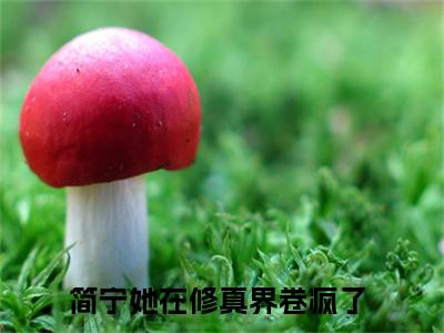 她在修真界卷疯了小说免费全本-简宁小说（她在修真界卷疯了完整版）免费阅读