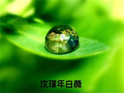 沈瑾年白薇笔趣阁免费小说_沈瑾年白薇笔趣阁全文阅读