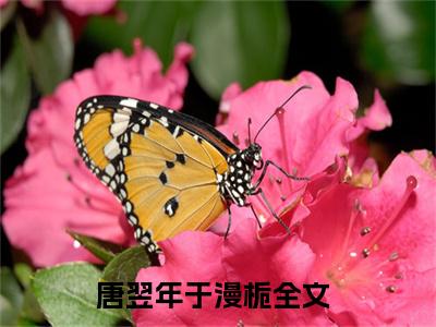 唐翌年于漫栀全文免费阅读（唐翌年于漫栀）全文免费阅读无弹窗大结局_唐翌年于漫栀全文免费阅读最新章节列表_笔趣阁