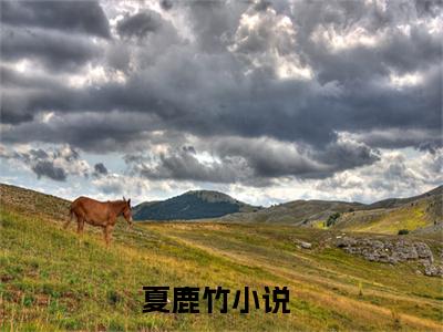 小说（误入帝心，福运小答应靠摆烂封后）夏鹿竹全文阅读-误入帝心，福运小答应靠摆烂封后（夏鹿竹）老书虫书荒推荐热点小说