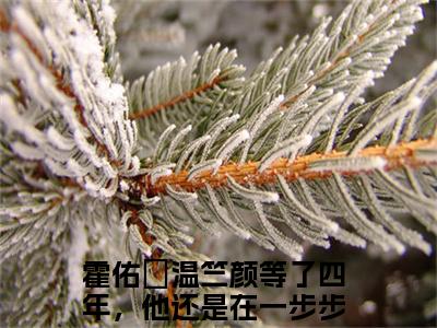 霍佑珵温竺颜（等了四年，他还是在一步步后退小说）在线阅读全文-等了四年，他还是在一步步后退小说免费阅读完结版全文