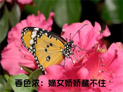 春色浓：嫡女娇娇藏不住小说在线阅读全文无弹窗大结局_谢清池姜渔小说免费最新章节列表（全文）+（后续）