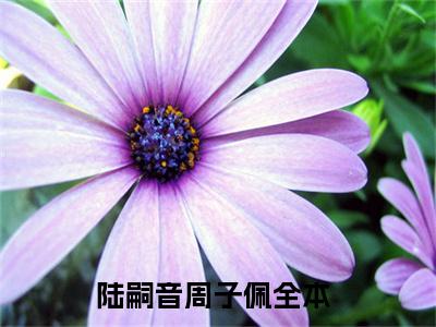 我在马甲文里抱大腿发疯（陆嗣音周子佩）全文免费阅读无弹窗大结局_陆嗣音周子佩最新章节列表